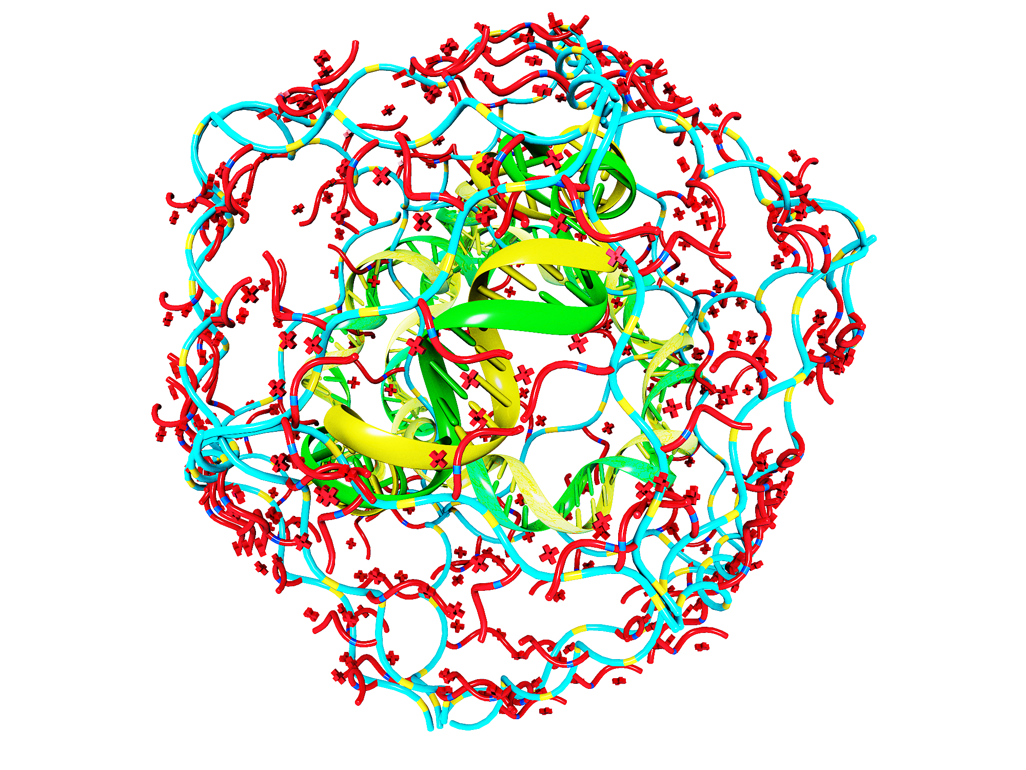 核酸脂質體研發/實驗服務